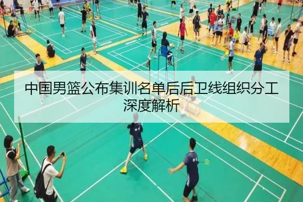 中国男篮公布集训名单后后卫线组织分工深度解析